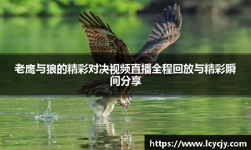 必一运动bsport体育